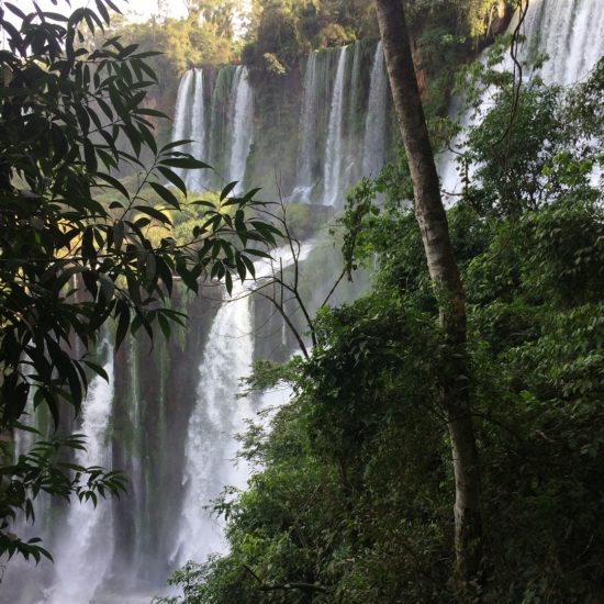 National Park at Iguazu