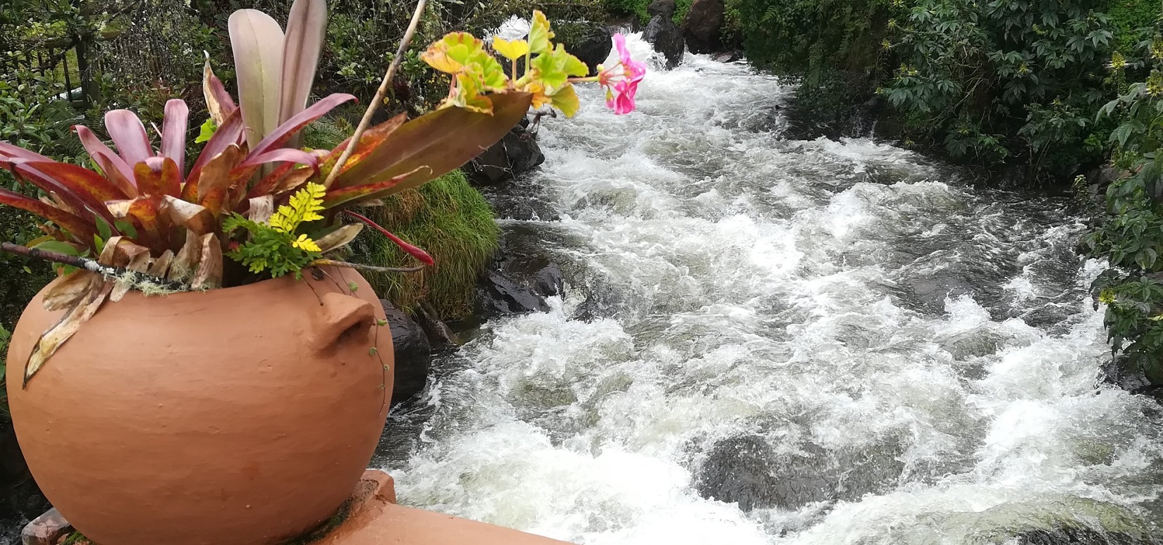 River at Andes Ecuador